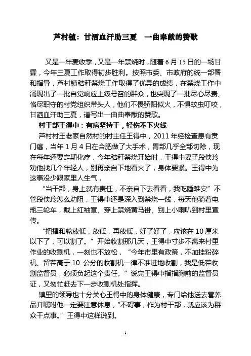 秸秆禁烧典型