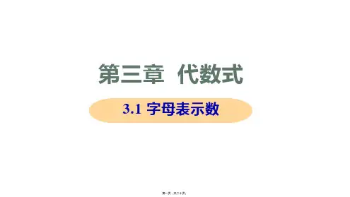 新苏科版七年级上册初中数学 3.1 字母表示数 教学课件