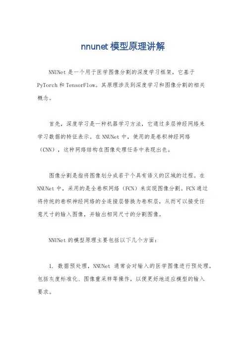 nnunet模型原理讲解
