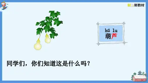 二年级上册14   我要的是葫芦