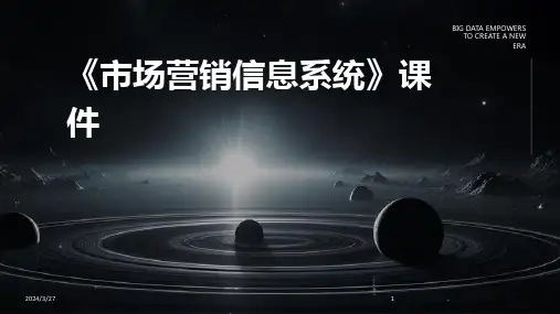 《市场营销信息系统》课件-2024鲜版