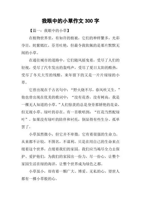 我眼中的小草作文300字