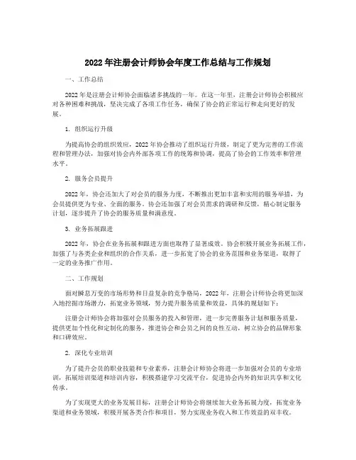 2022年注册会计师协会年度工作总结与工作规划