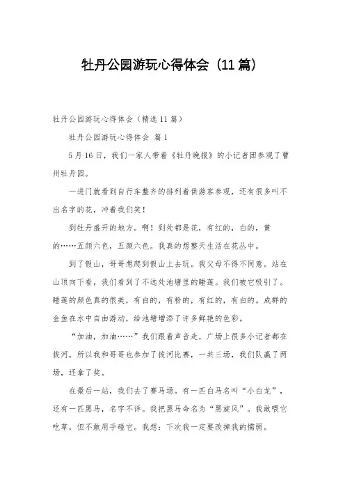牡丹公园游玩心得体会(11篇)