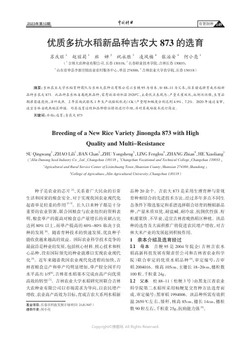 优质多抗水稻新品种吉农大873的选育