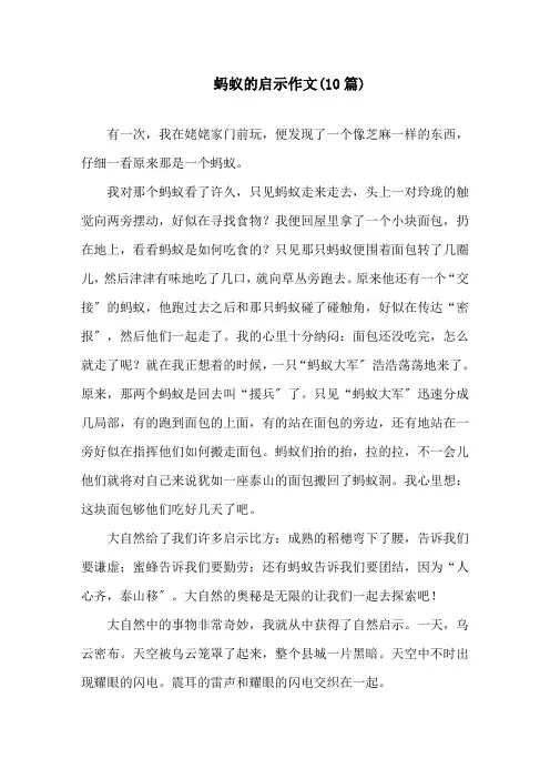 蚂蚁的启示作文(10篇)精选