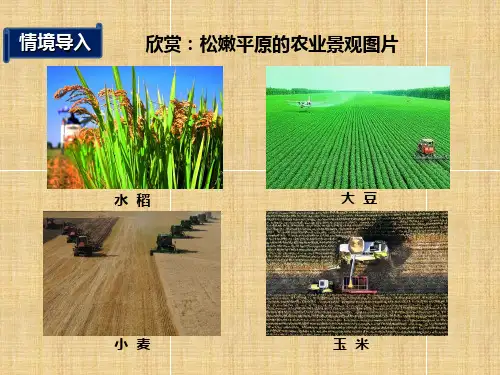 第六章第三节东北地区的产业分布课件ppt