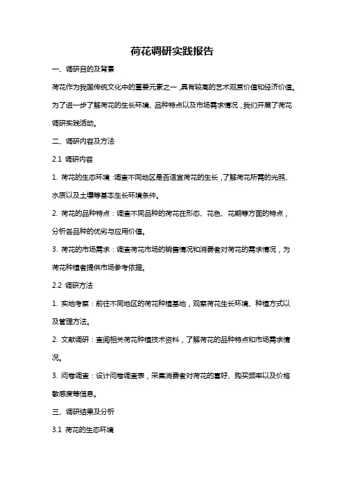 荷花调研实践报告