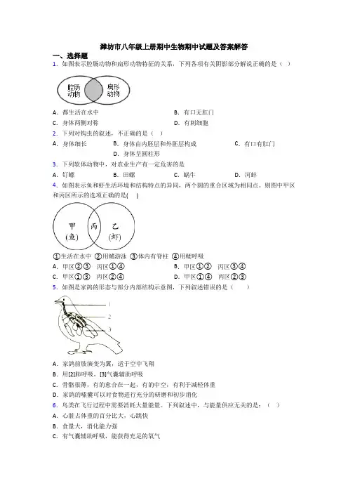 潍坊市八年级上册期中生物期中试题及答案解答