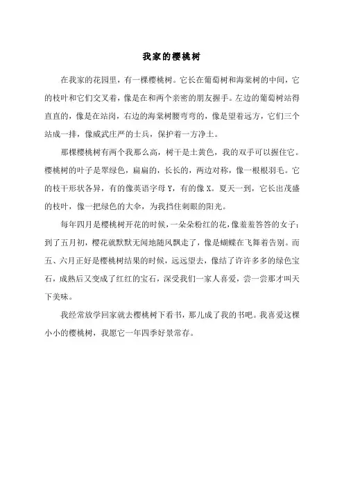 我家的樱桃树