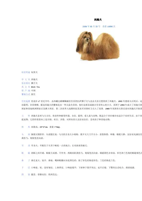 西施犬