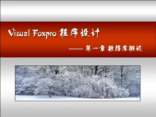 计算机二级VFP1