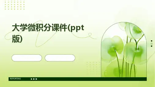 2024版大学微积分课件(ppt版)