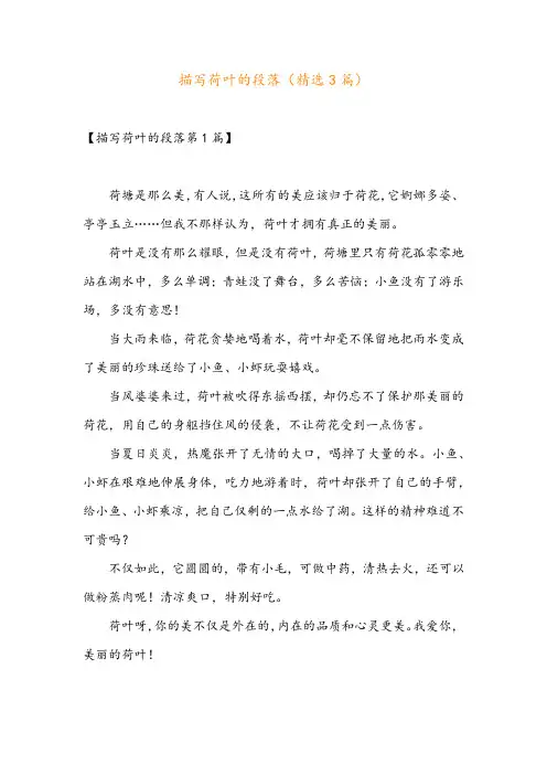 描写荷叶的段落(精选3篇)
