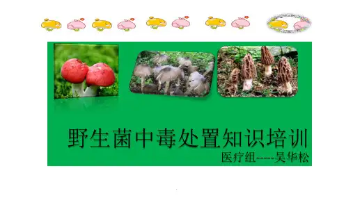 吴华松-野生菌中毒处置知识培训ppt课件