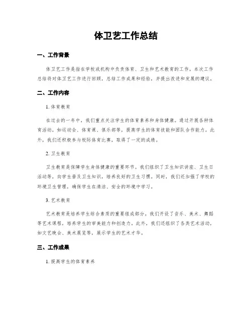 体卫艺工作总结