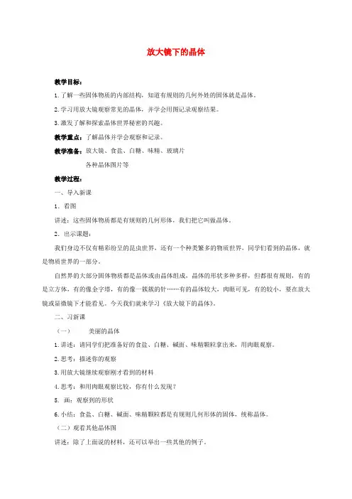 最新科教版小学六年级科学下册《放大镜下的晶体(三)》教案