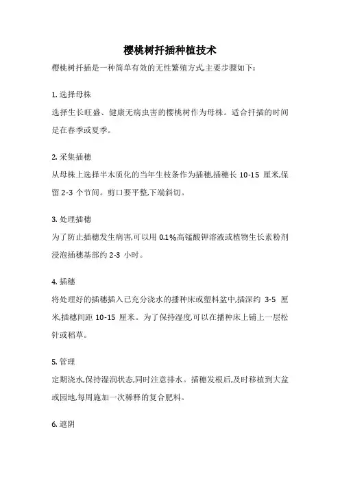 樱桃树扦插种植技术