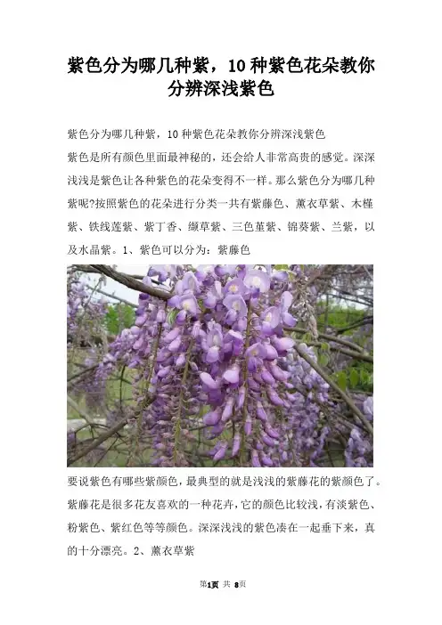 紫色分为哪几种紫,10种紫色花朵教你分辨深浅紫色
