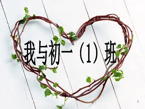 培养集体荣誉感主题班会ppt课件