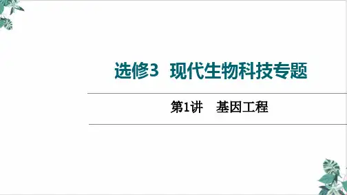 [优选]高三一轮复习高考人教版生物选修基因工程课件
