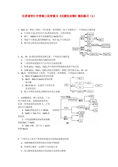 江苏省怀仁中学高三化学复习《元素化合物》强化练习(1)
