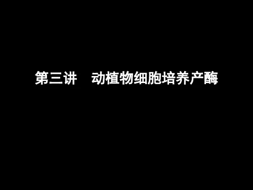 动植物细胞培养产酶