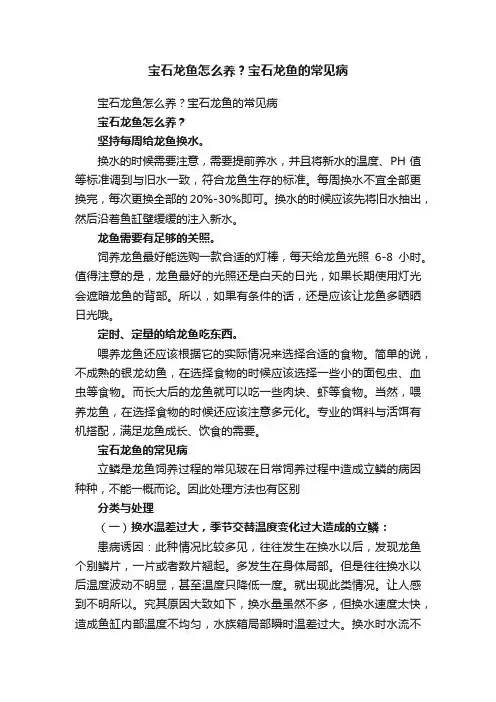 宝石龙鱼怎么养？宝石龙鱼的常见病