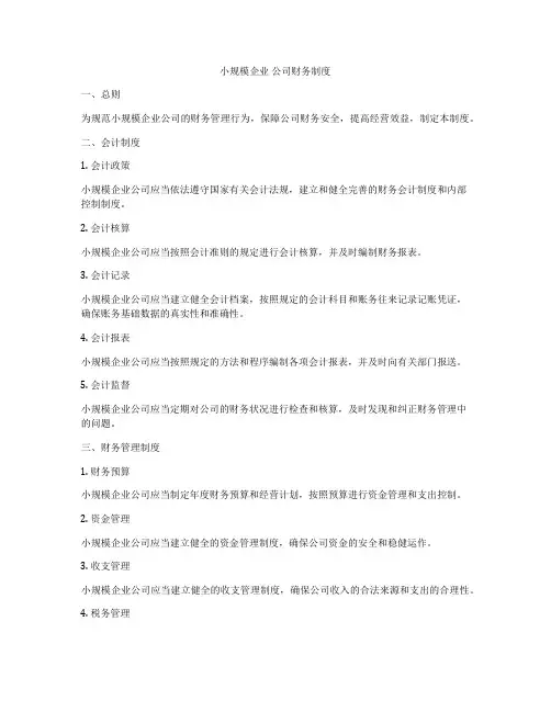 小规模企业 公司财务制度