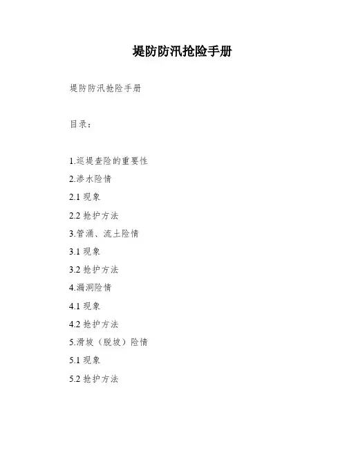 堤防防汛抢险手册