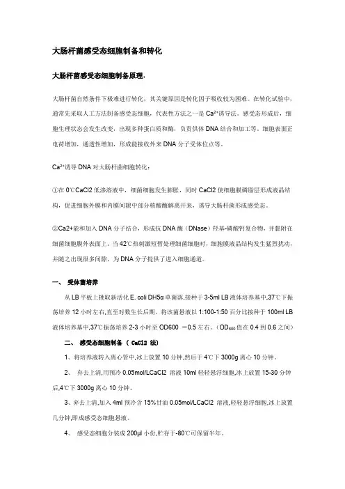大肠杆菌热击感受态细胞的制备、注意事项和转化