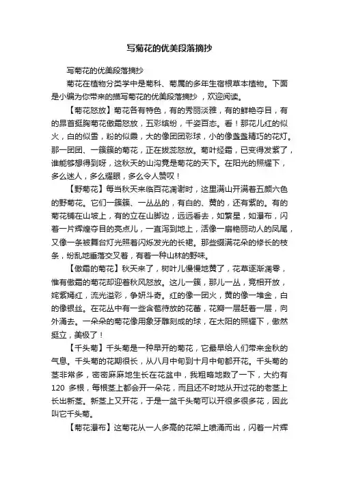 写菊花的优美段落摘抄