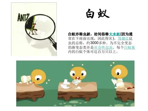 初二生物开放性作业资料