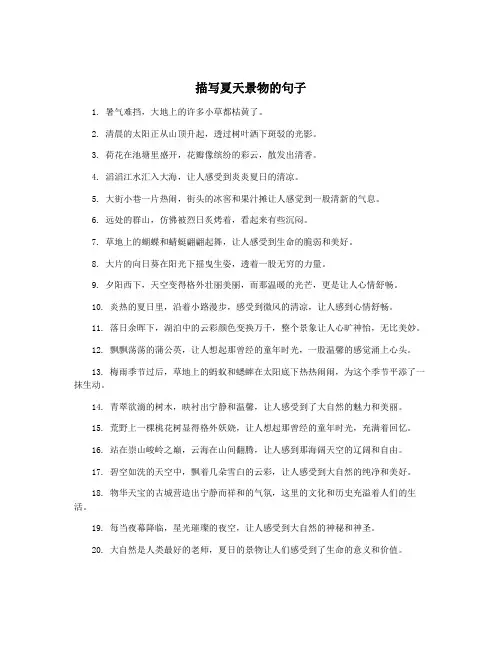 描写夏天景物的句子