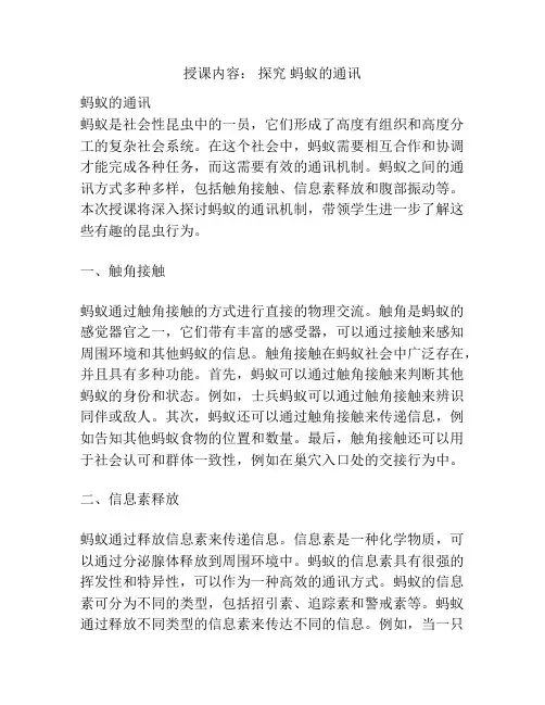 授课内容： 探究 蚂蚁的通讯