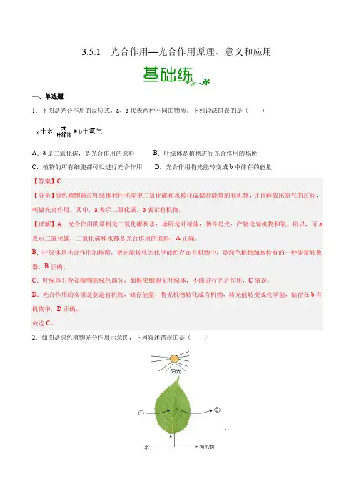 3-5-1 光合作用—光合作用原理、意义和应用(北师大版)(解析版)