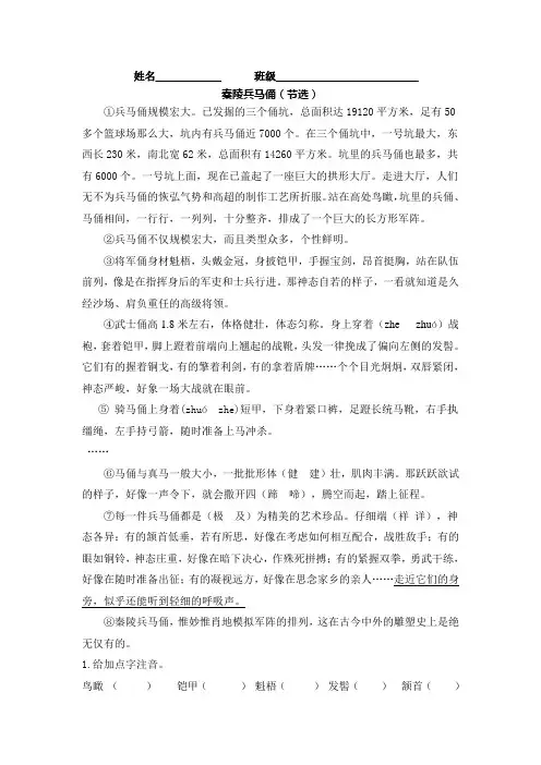 秦陵兵马俑-作业设计