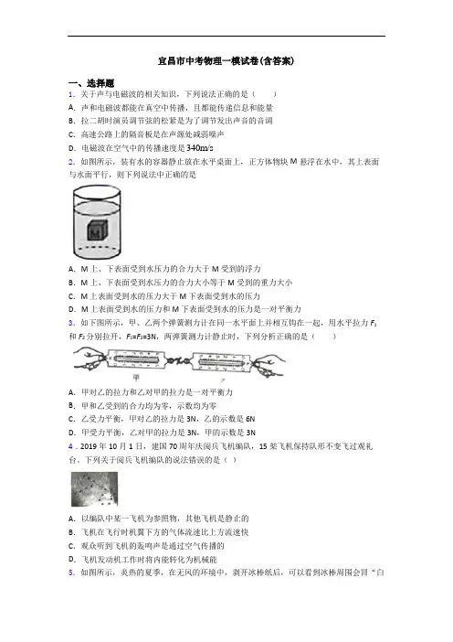 宜昌市中考物理一模试卷(含答案)