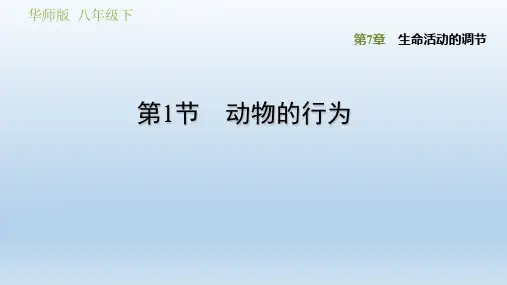 2020春华师版八年级科学下册课件-第7章 单元课件(付,177)