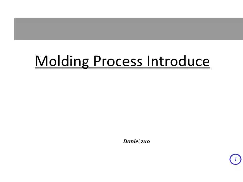 Molding Process Introduce 注塑工艺介绍.ppt
