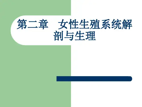 妇产科护理学-课件第二章女性生殖系统解剖与生理