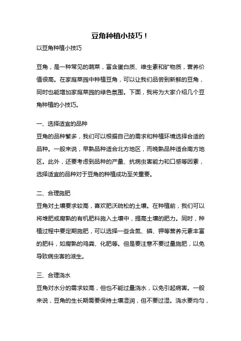豆角种植小技巧!