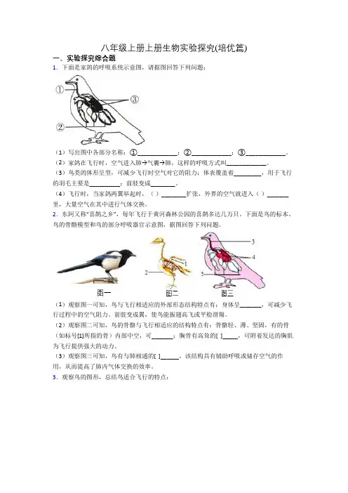 八年级上册上册生物实验探究(培优篇)