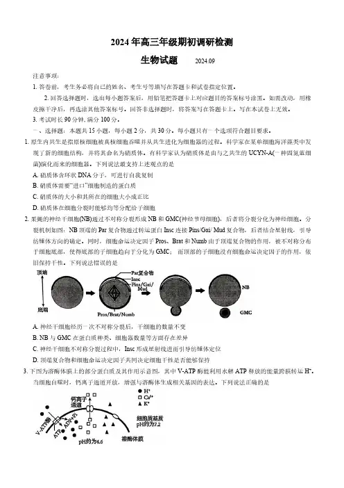 山东省青岛市2024---2025学年高三上学期期初考试生物试题