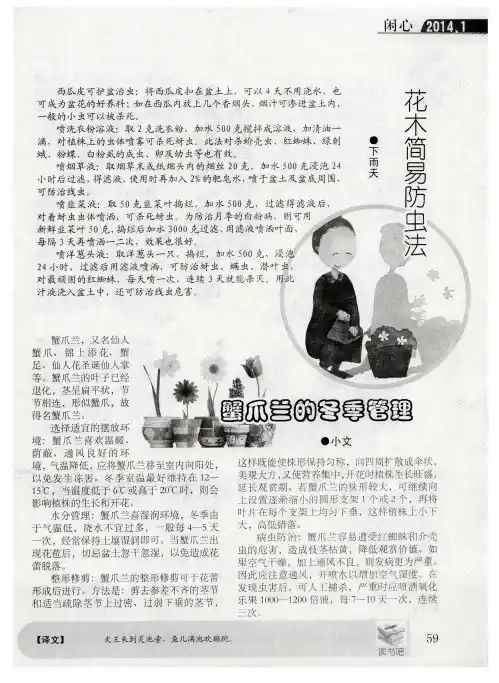 蟹爪兰的冬季管理