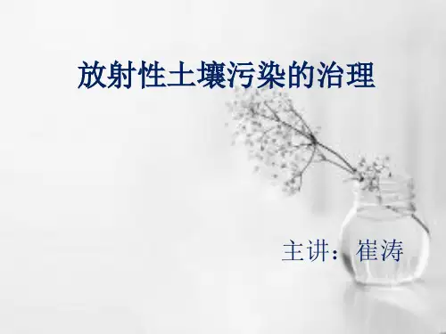 放射性土壤污染治理(物理与化学方法)
