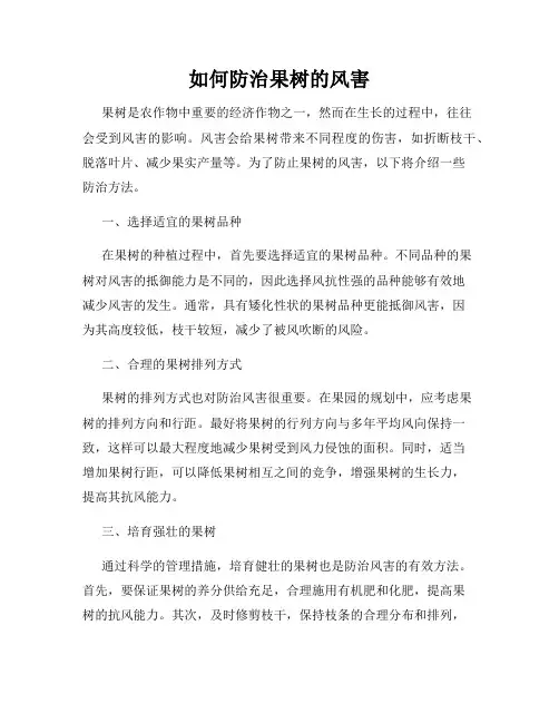 如何防治果树的风害