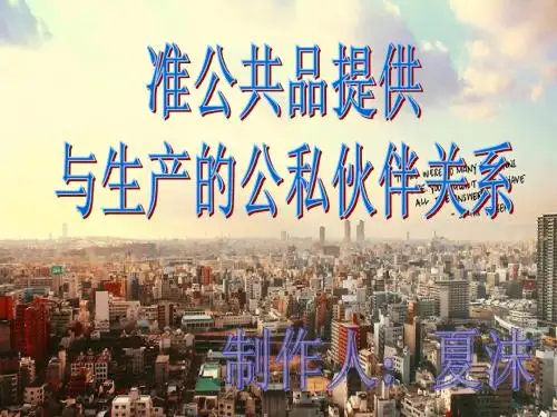 公私伙伴关系