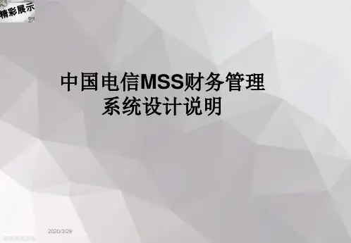 中国电信MSS财务管理系统设计说明