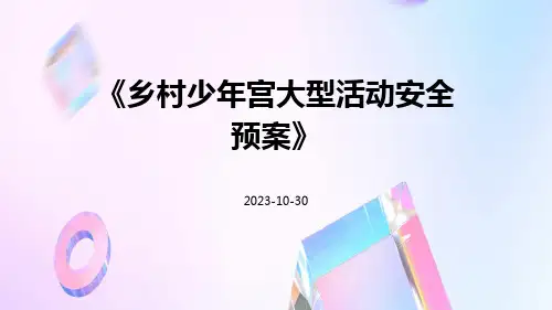 乡村少年宫大型活动安全预案